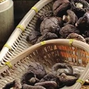 স্বাস্থ্যকর শুকনো শিয়াটাকে মাশরুম 1 কেজি মসৃণ পৃষ্ঠের 2 বছরের শেলফ লাইফ