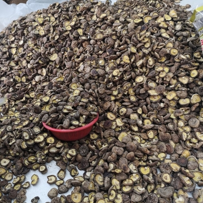 প্রাকৃতিক বাল্ক শুকনো শিয়াটাকে মাশরুম শুকনো শিয়াটাকে মাশরুম জৈব